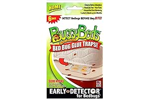 Buggy Beds Bed Bug Trap