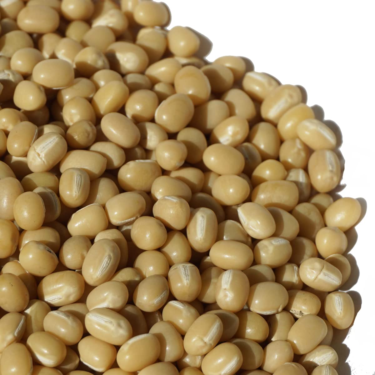 Amazon.co.jp: アメ横 大津屋 北海道 白小豆 白 小豆 豆 azuki bean