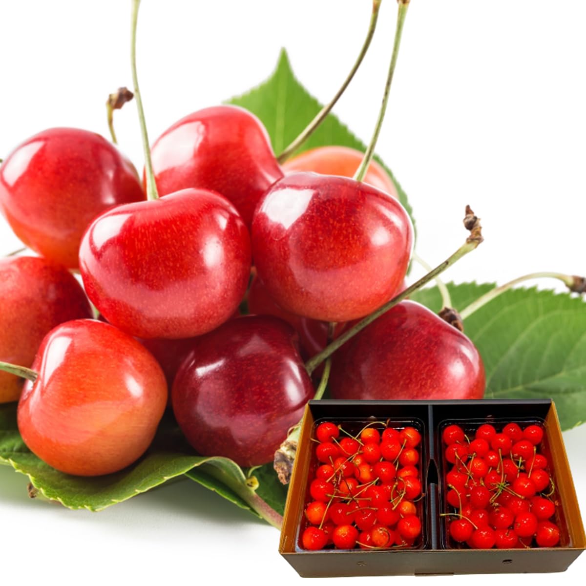 Amazon.co.jp: 父の日 さくらんぼ 佐藤錦 紅秀峰 秀品 山形県産 700g
