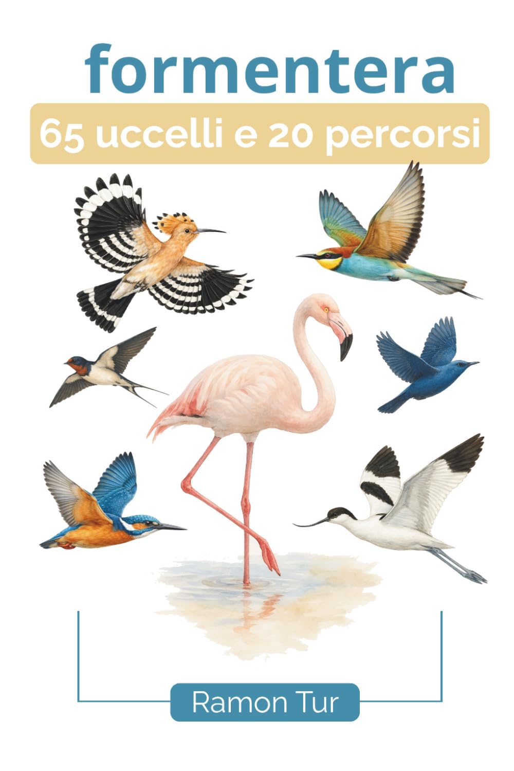 Formentera 65 uccelli e 20 percorsi: Guida illustrata per scoprire Formentera attraverso i suoi sentieri e i suoi uccelli
