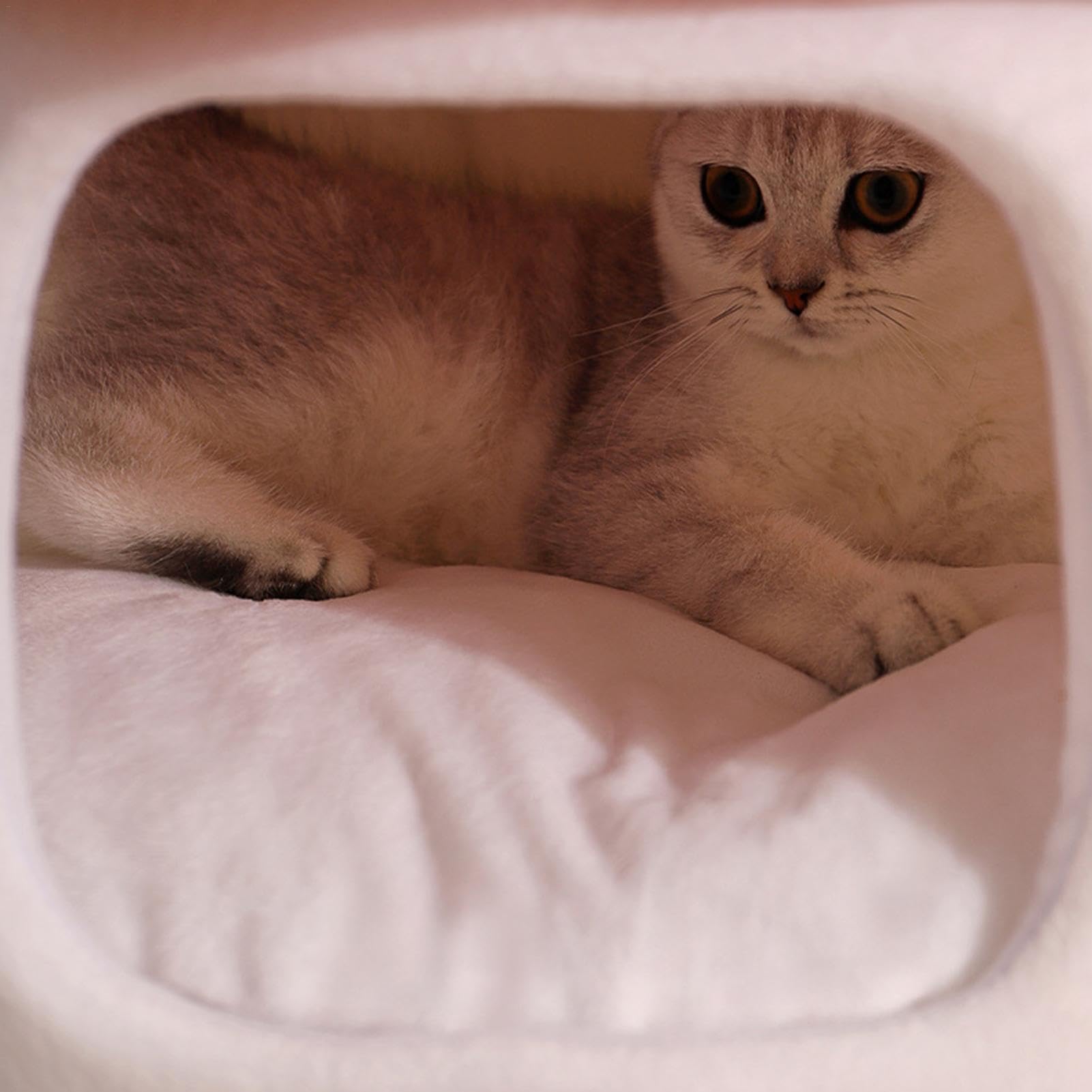 Cama de dormir para gatos – Cama para mascotas semicerrada | Cama de dormir y cálida, tienda de campaña para mascotas pequeñas, gatos y cachorros | Tienda Cálida Acogedora Cuevas Camas Suave Felpa Nidos Calentita Para Perros Pequeños Gatos Cachorros