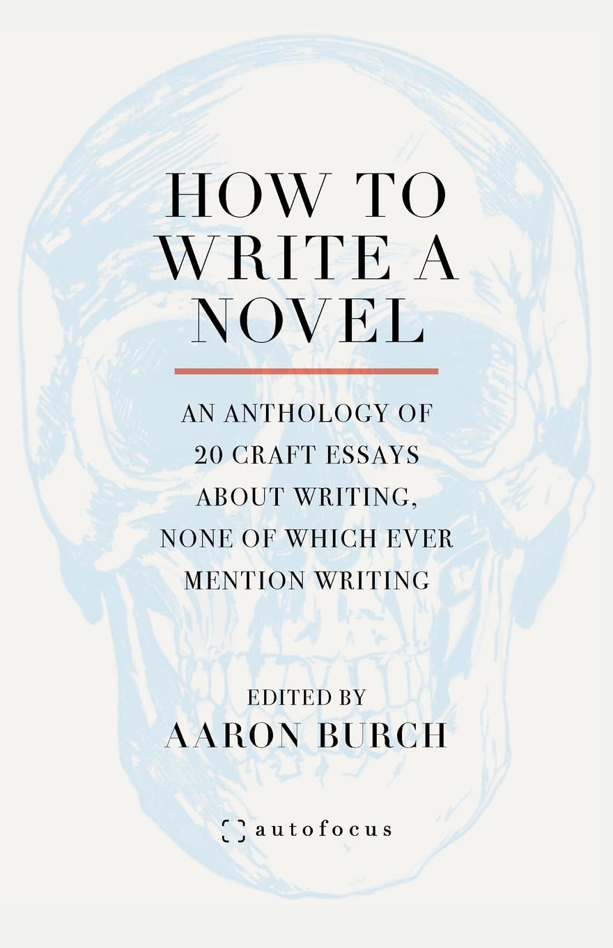 How to Write a Novel: An Anthology of 20 Craft Essays About Writing, None of Which Ever Mention Writing