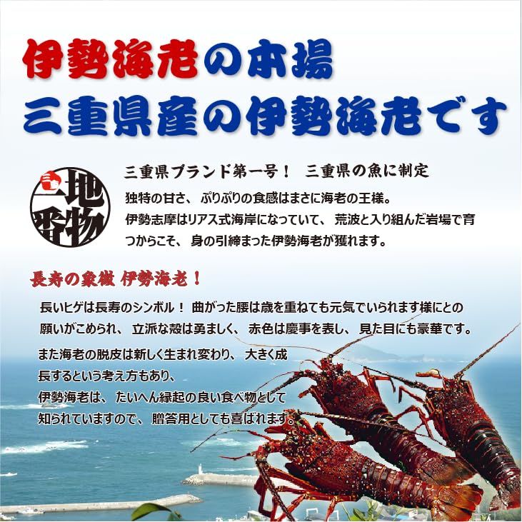 Amazon.co.jp: 活〆伊勢海老（冷凍加熱用）中サイズ 200～230g [冷凍 