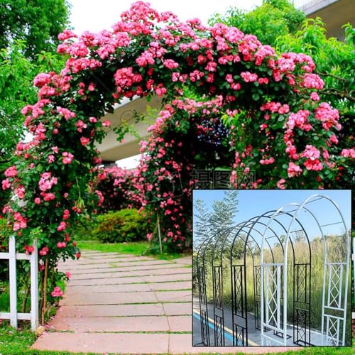 Arche de jardin rigide en métal vert de grande dimension
