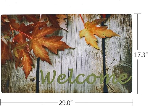 Miniatura 3 de Felpudo de bienvenida para puerta delantera, parte trasera de goma, antideslizante, tapete de entrada, rascador de zapatos, 17 x 29 pulgadas,