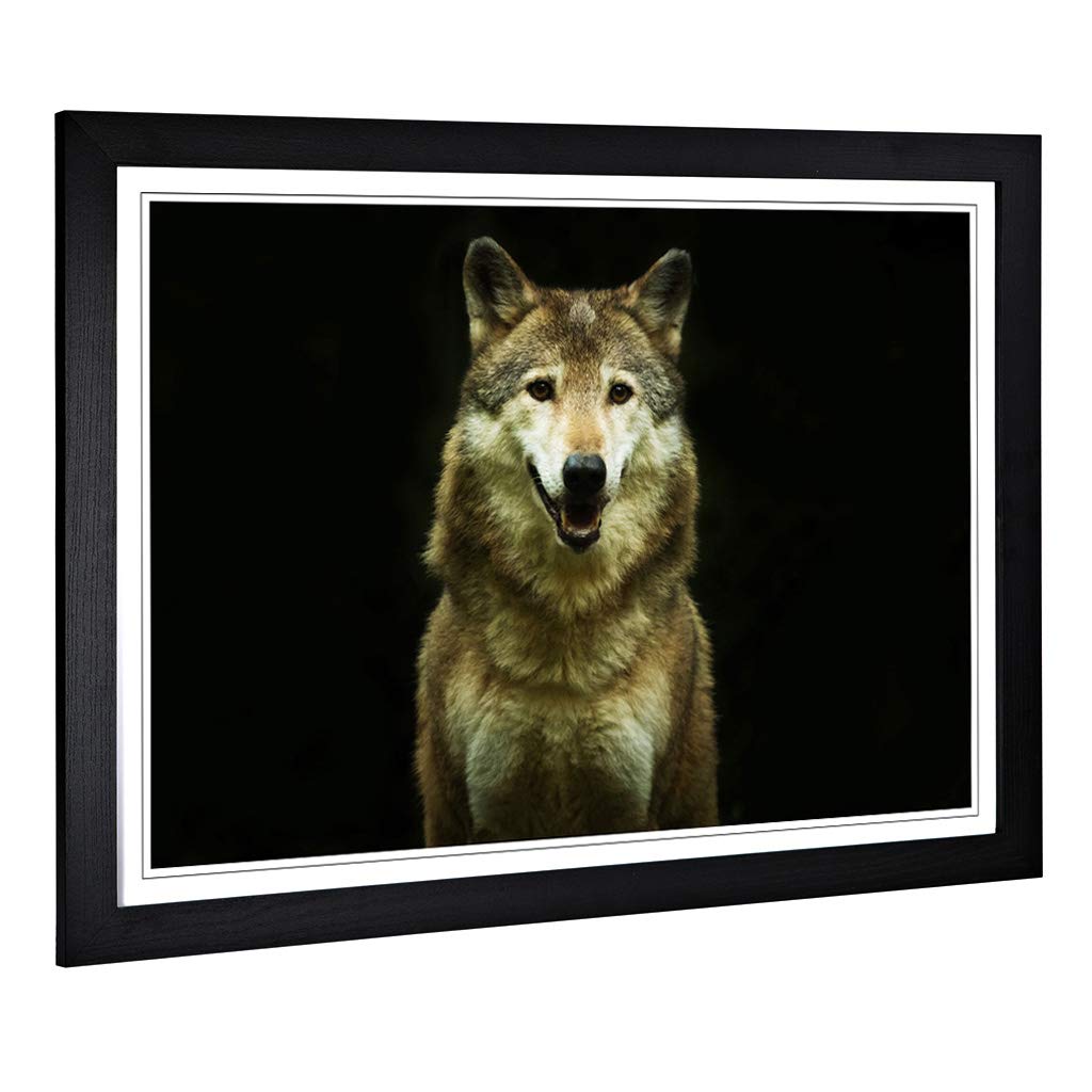Big Box Art Framed Print of Wolf (3) Design | Wall Art Picture | Home Decor for Kitchen, Living, Dining Room, Lounge, Bedroom, Hallway, Office, Black, A2 / 24.5x18 Inch / 62x45cm