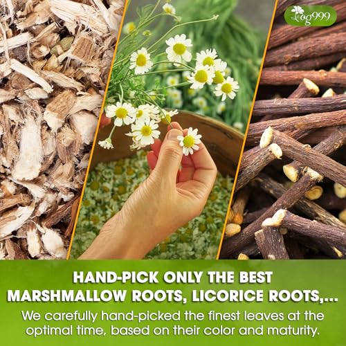 Image of TOG999, Premium Digestive Tea Bags | 40 Count | Herbal Blend with Marshmallow Root, Licorice Root, Chamomile Flower, Ginger, Fennel Seed, Peppermint & Cinnamon - Smooth & Comforting Herbal Tea