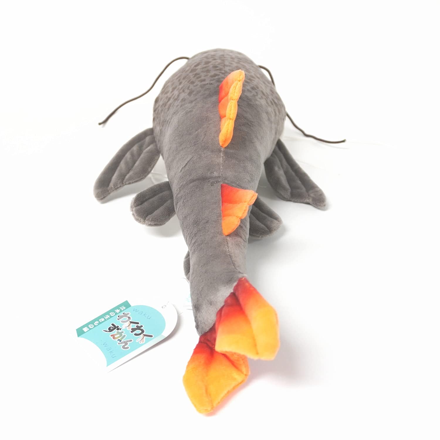 Amazon.co.jp: TSTアドバンス わくわく図鑑 レッドテール