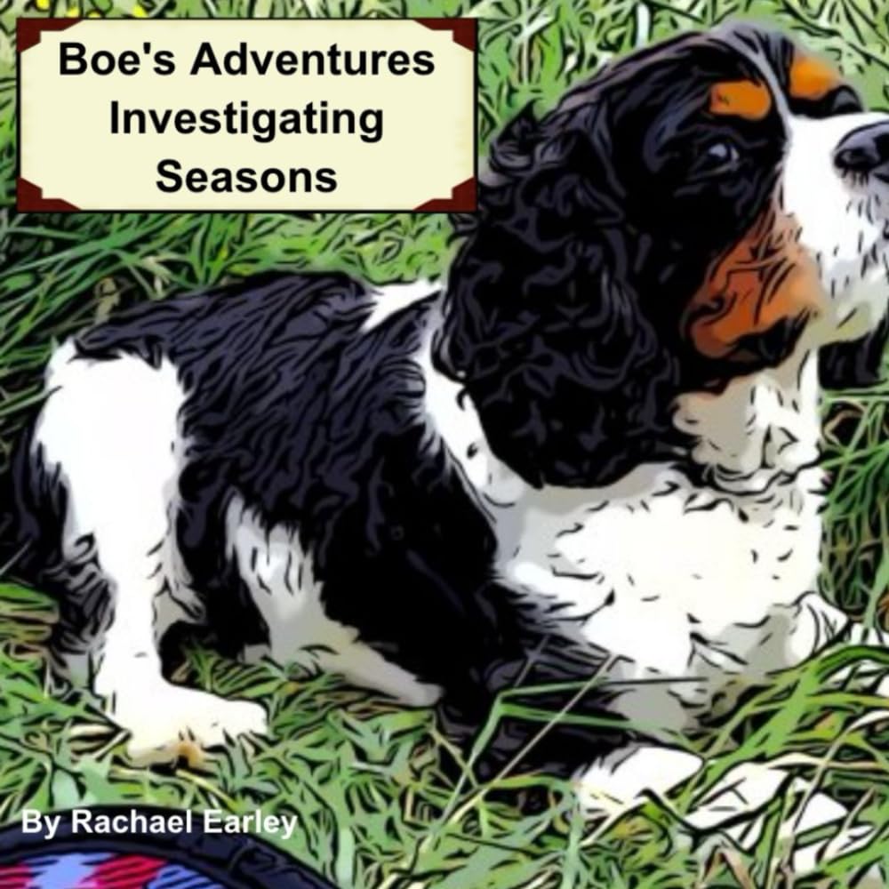 Boe's Adventures: Investigating Seasons