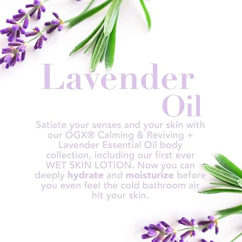 Miniatura 4 de OGX Hydrate & Color Reviving + Lavender Luminescent Platinum Champú, botella de 13 onzas