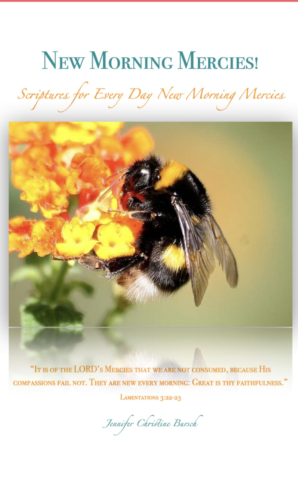 New Morning Mercies!: Scriptures for Every Day New Morning Mercies