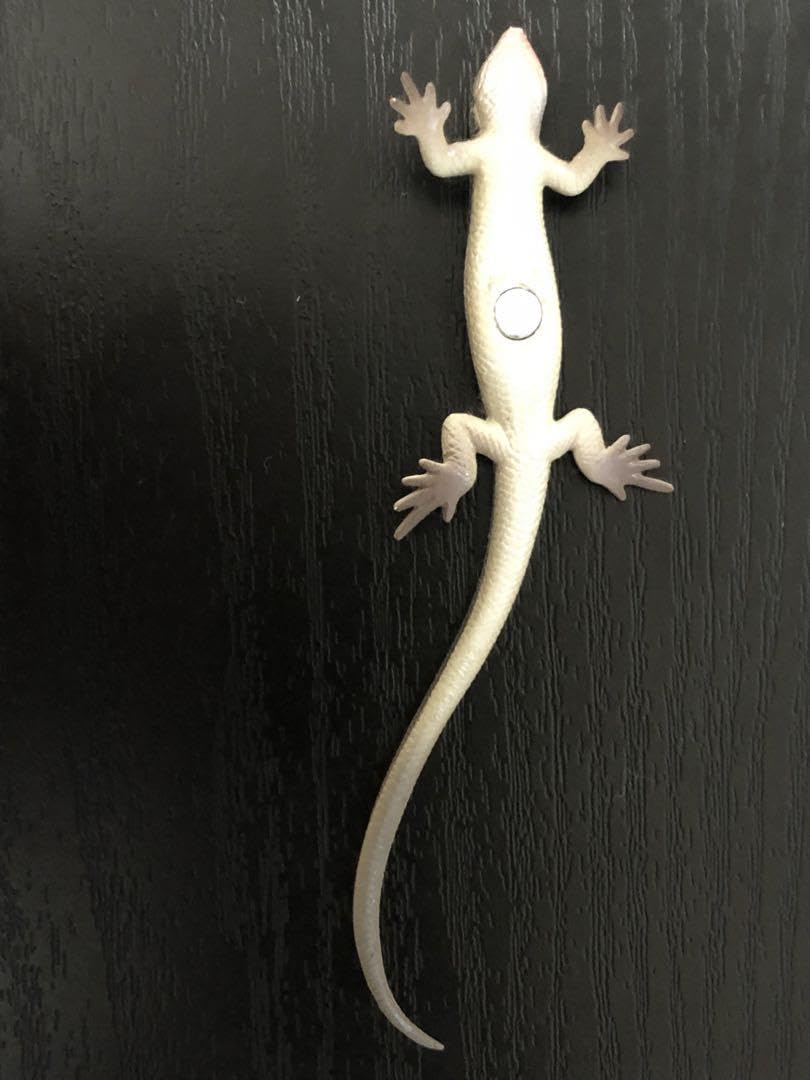 ミィ様✳️ネイティブ調デザイン　6連cord bracelet ヤモリ　トカゲ ミィ様✳️ネイティブ調デザイン 6連cord bracelet ヤモリ トカゲ