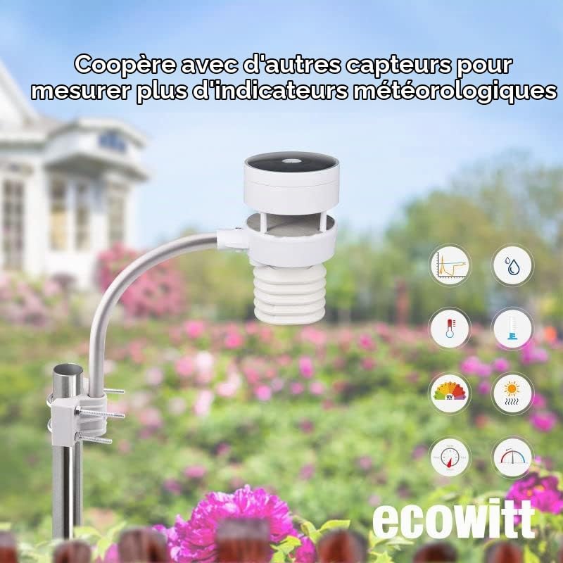 Ecowitt outdoor sensor unit mounted on a pole in a garden setting, demonstrating proper installation.