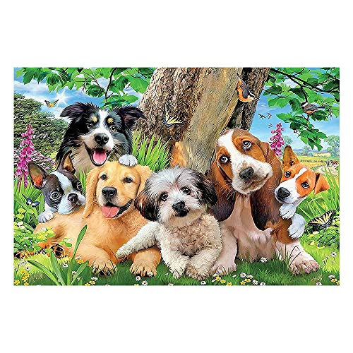 DCIDBEI Pintura de Diamante Perros 40x50cm Punto Diamante Perros ...