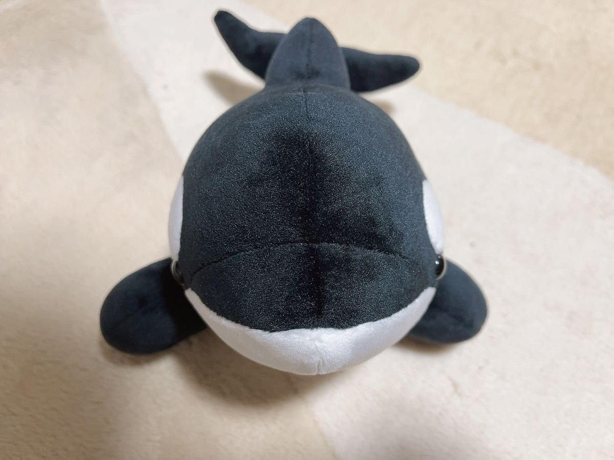 Amazon.co.jp: 名古屋港水族館 限定 シャチぬいぐるみ 3等
