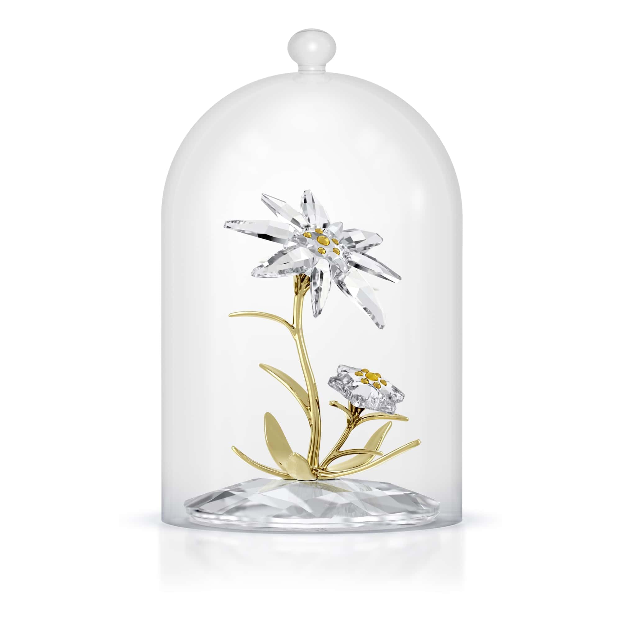 Cloche de verre Swarovski Florere le cadeau d'anniversaire mémorable en cristal d'exception
