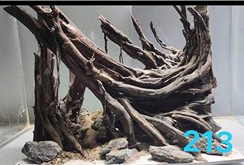 Amazon.co.jp: 水槽用流木 自然なデザイン. 盆栽流木 の水槽水草