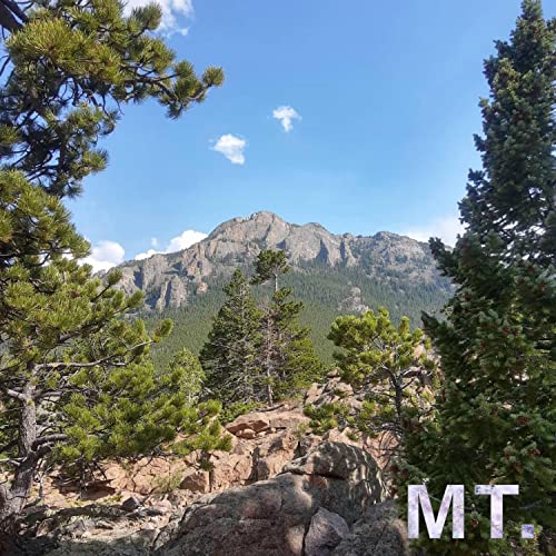 SIMPSONS BOX-SET DVD'S [Explicit]