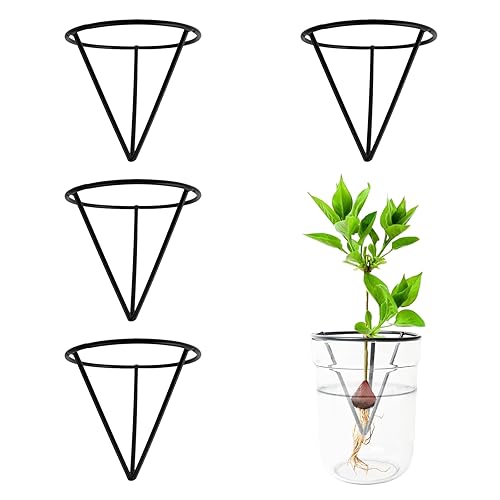 4 Pcs Avocado Seed Starter Rack, Triangle Avocado Seed Sprout