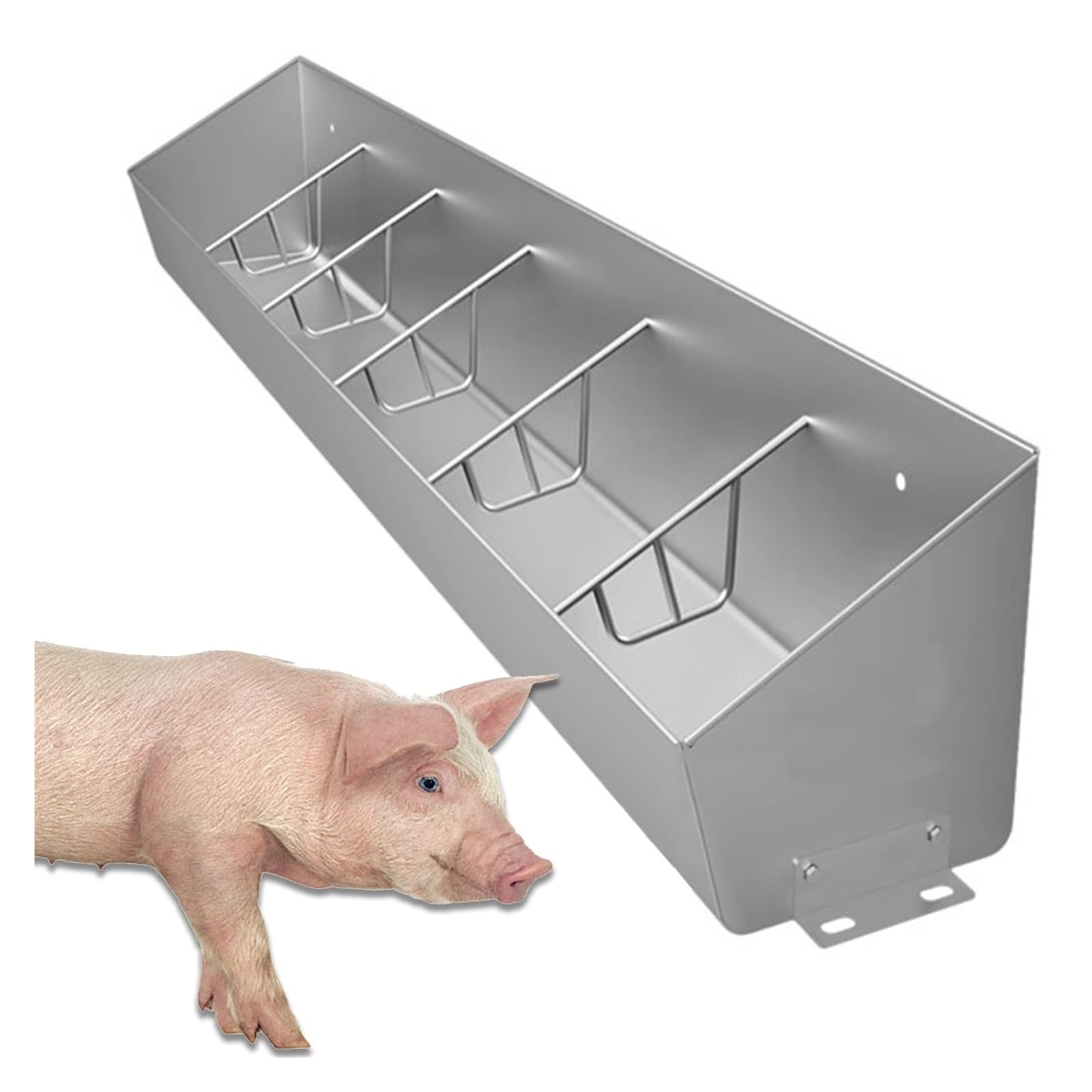 Set di mangiatoie per suini, robuste mangiatoie in Acciaio Inox sospese/a Terra con recinzioni indipendenti, Adatte per stalle di bovini, Ovini, equini e suini.