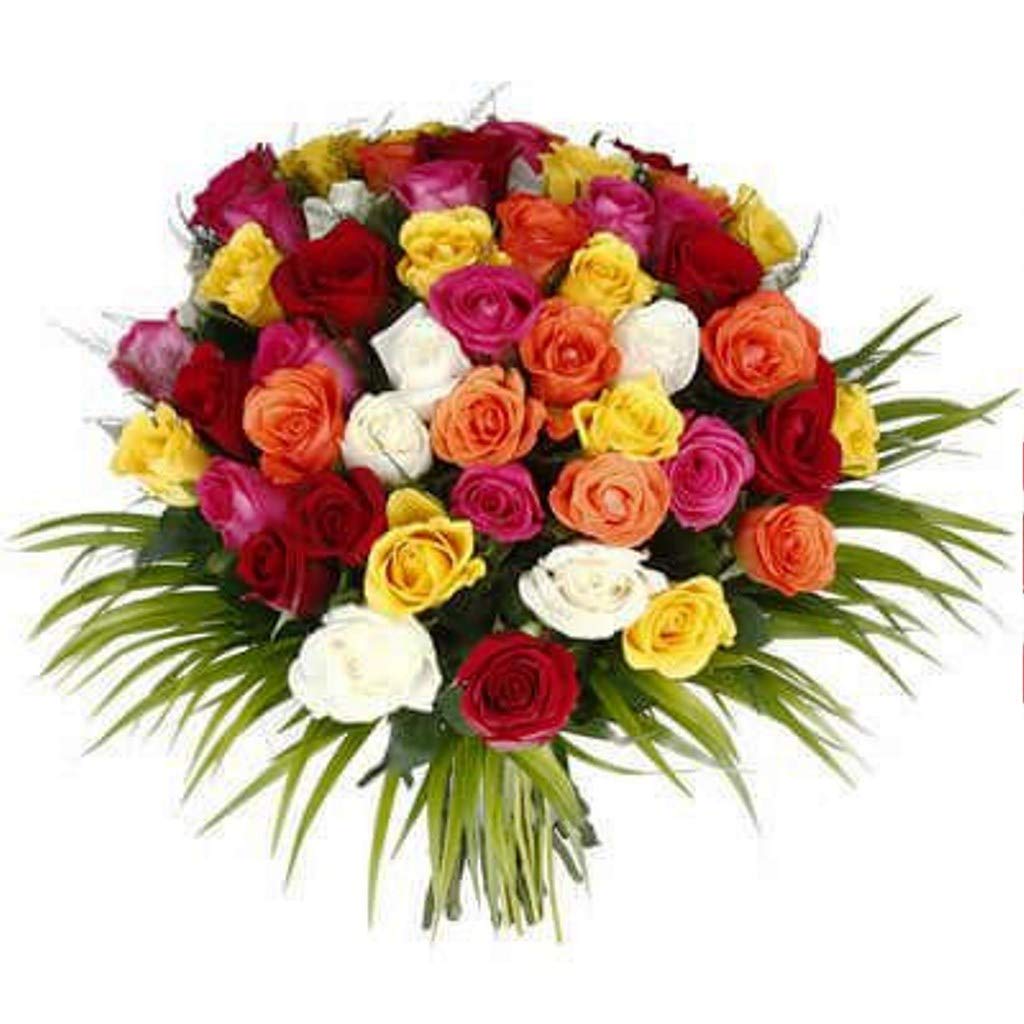 The FloralMart® Special Bunch of 25 Mixed Roses Fresh Flowers Tied With Ribbon || Bunch of 25 (Multicolour)-image-4