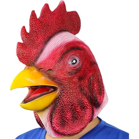 Gaffi Chicken Helmets: Protection for Your Poultry Pets