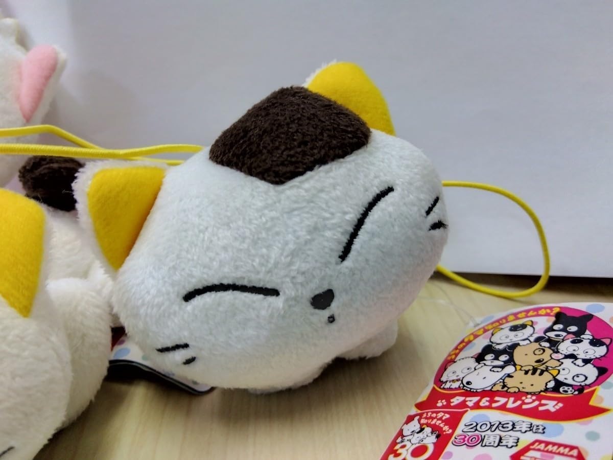 Amazon.co.jp: うちのタマ知りませんか？ タマ＆フレンズ モモ＆タマ 3