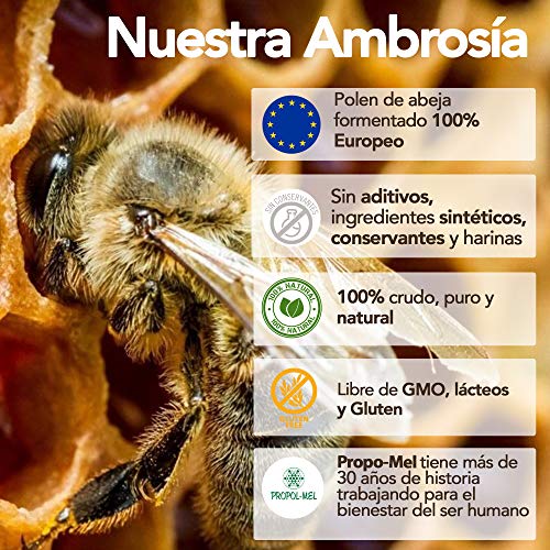 Bijenbrood x 200 g. Perga, ambrosia, 100% natuurlijke lacto-gefermenteerde bijenpollen - ruw. - Image 5