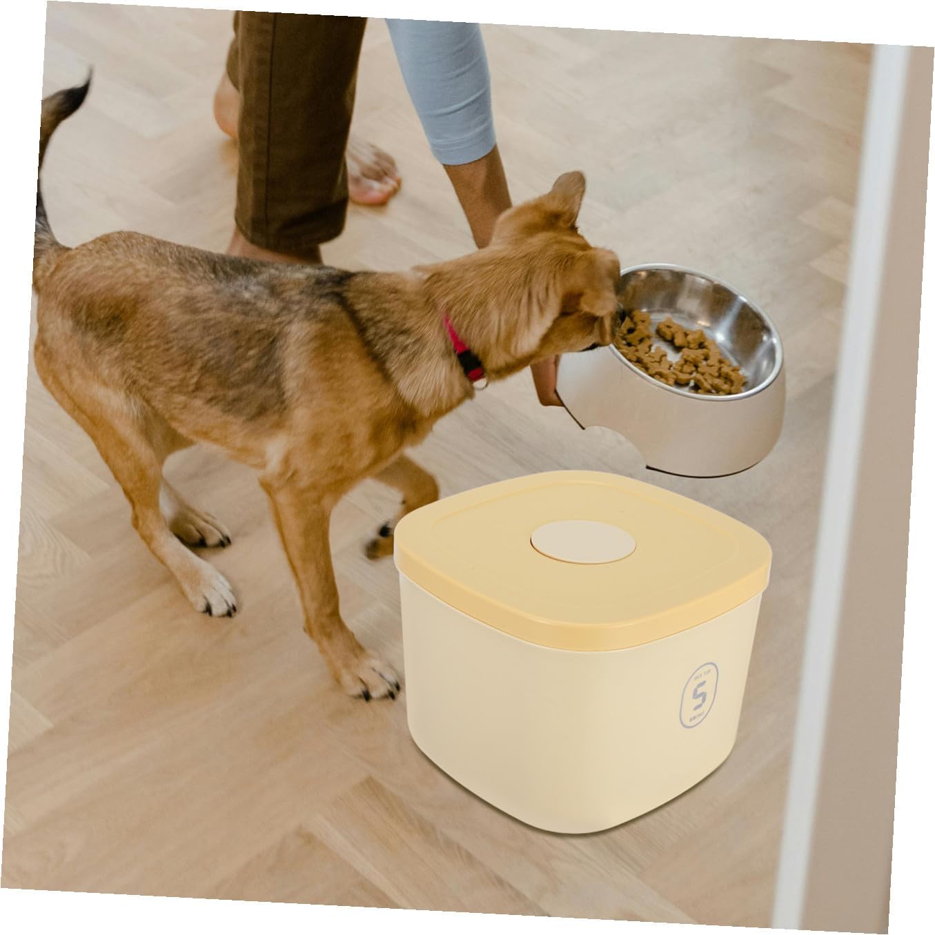 Small Yellow Airtight Pet Food Storage Bin for Cat and Dog Food Vacuum-sealed Grain Container with Moisture-proof Lid for Home Use