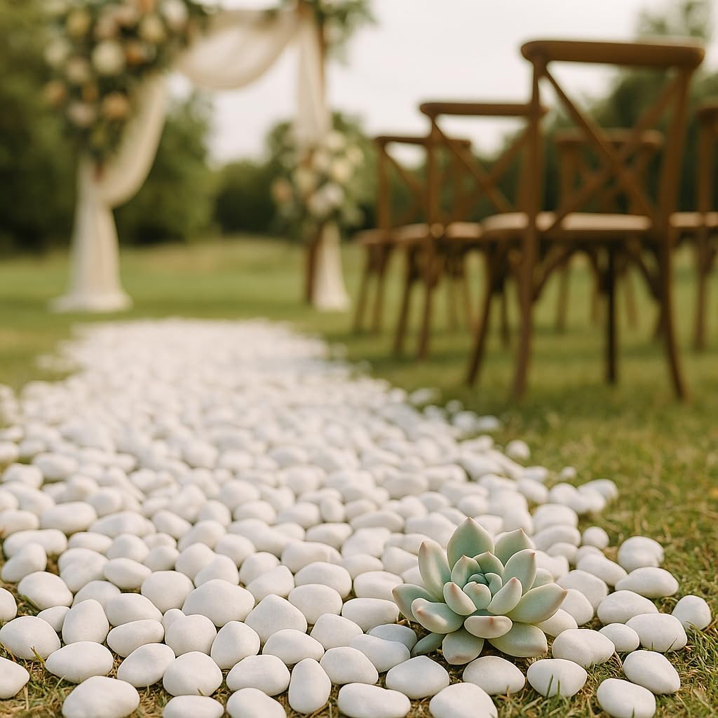 dellyy Pietre Decorative Bianche, Piccole Ghiaia Giardino, Ciottoli Decorativi Vasi, Piccole Ciottoli Bianchi, Pietre Bianche Decorative, Piccole Bianco Ghiaia per Vasi Fiori, Giardini, Acquari (500)