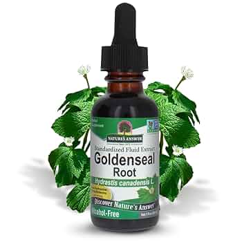 英LP Various Roots Supplement Part 1: Nature At Its Best GPLP016 Gussie P /00235 Amazon.com: Nature's Answer Goldenseal Root | Herbal