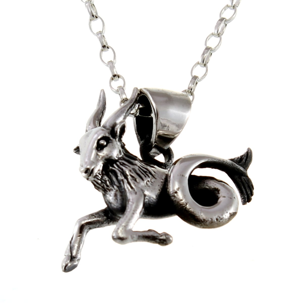 Sterling Silver Capricorn (The Sea Goat) Pendant Necklace & 18" Chain