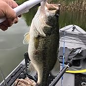 rapala 9 floating fish gripper