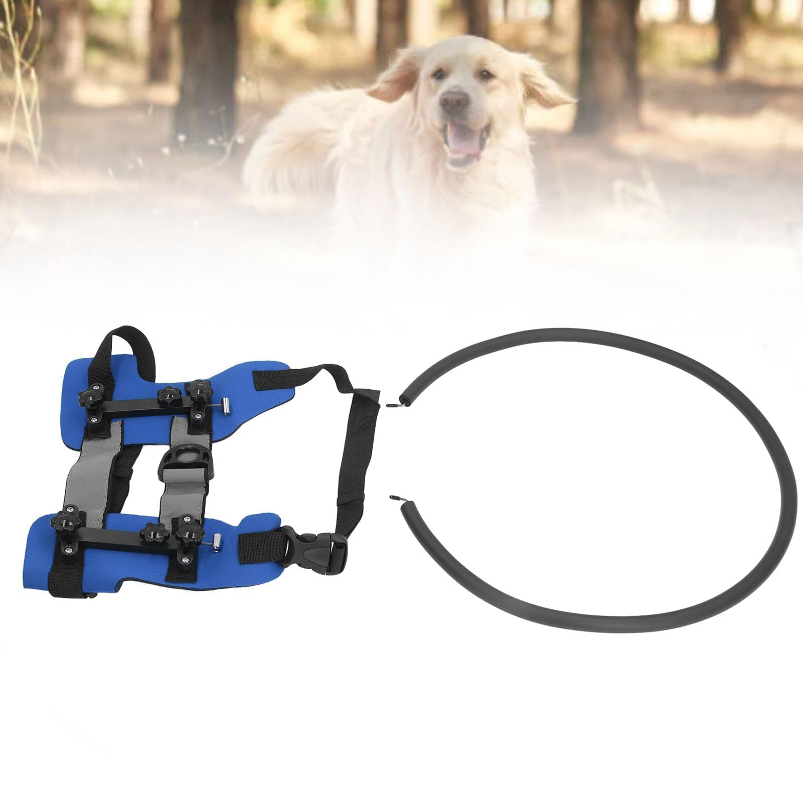 Blindes Hundegeschirr, Verstellbarer Antikollisionsring, Hund Schützend Geschirr Weste Ring Blindenhund Geschirr Orientierungshilfe für Blinde Haustiere (M)