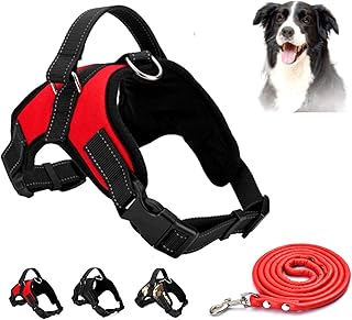 amazon pug harness