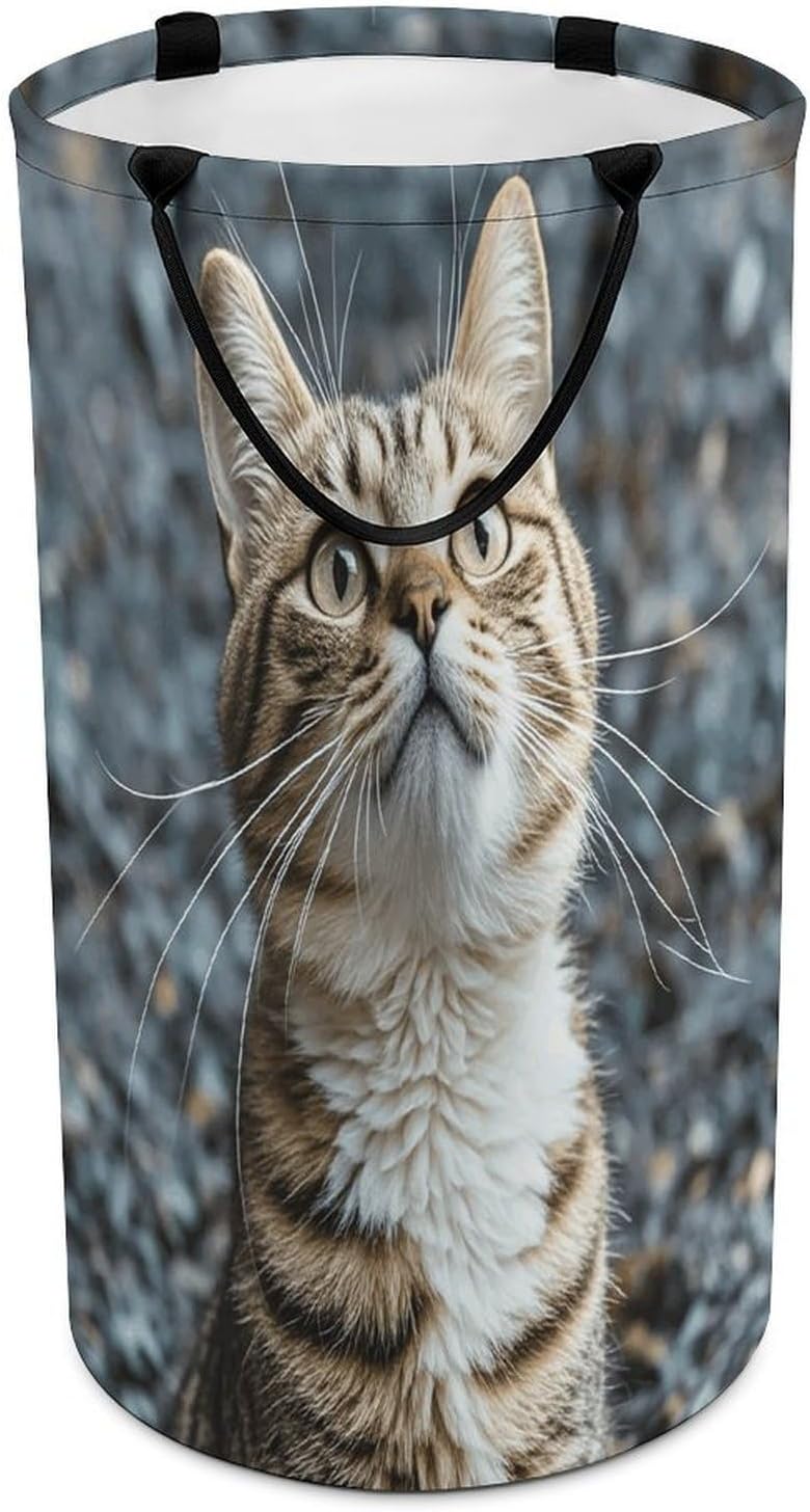 The Cat Is Looking Up Laundry Hamper Large Collapsible Laundry Basket with Handles Waterproof Clothes Hamper Portable Dirty Clothes Basket for Bedroom Laundry Room Closet Bathroom