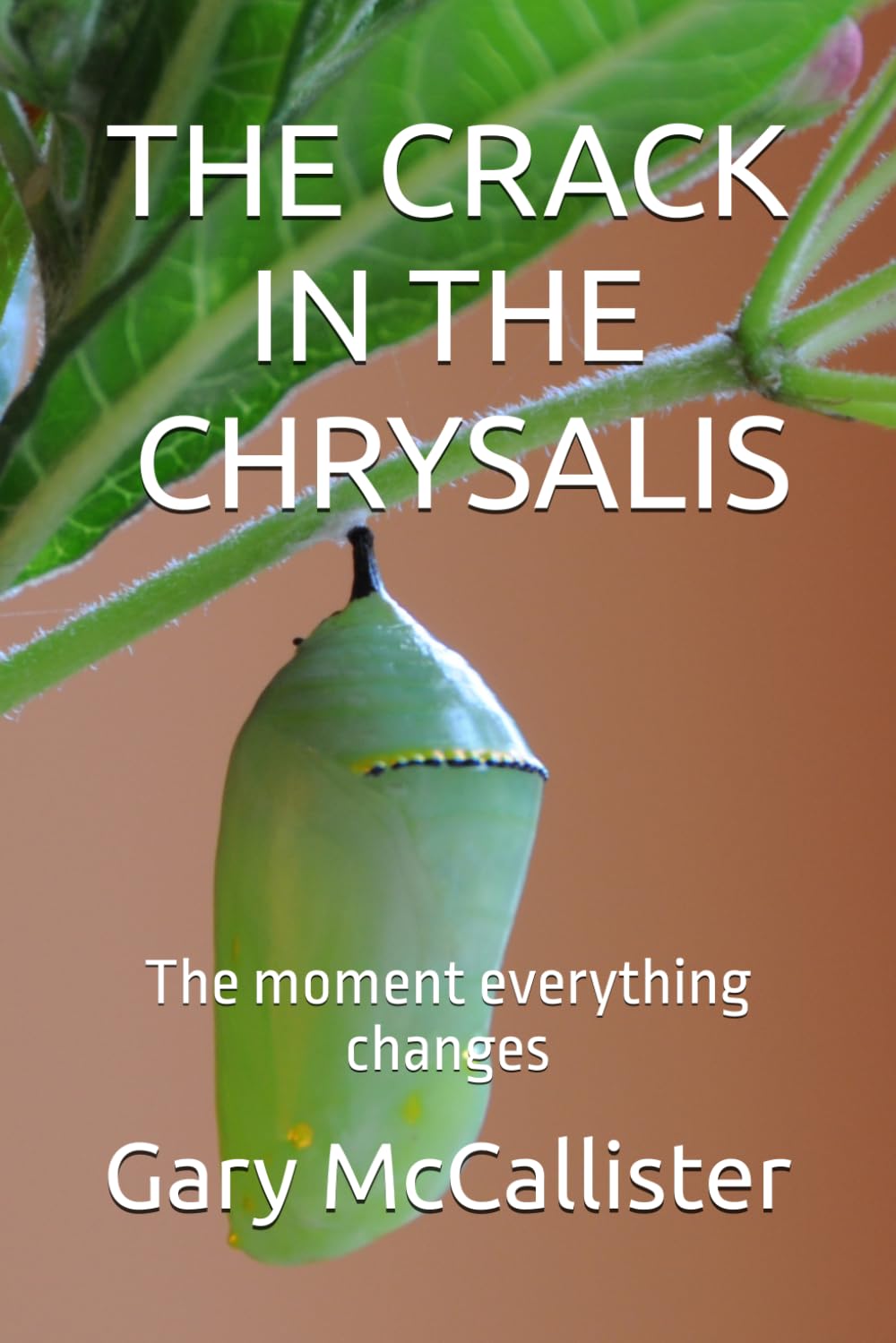 CRACKING THE CHRYSALIS: The moment everything changes