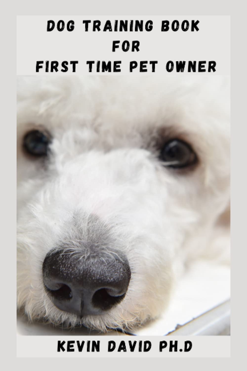 When Can You Start Training Your Dog