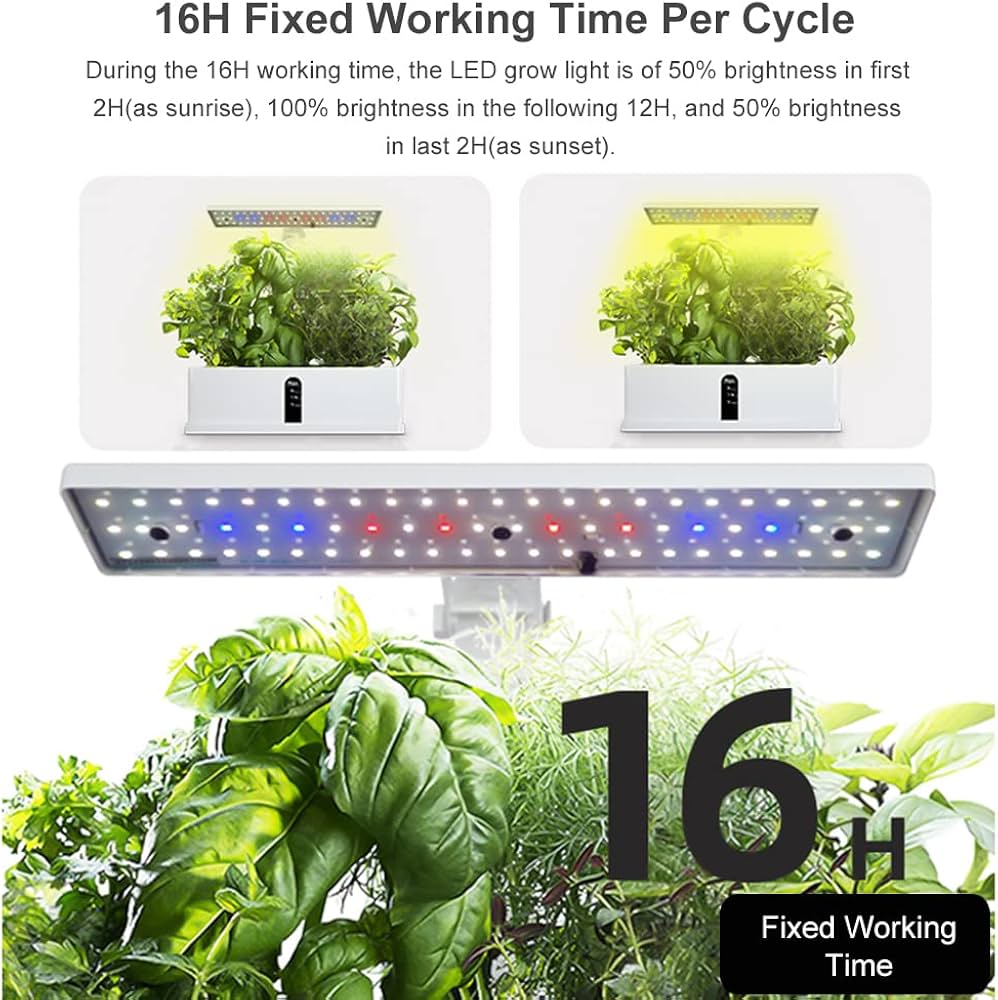 61w7jTlzpaL._AC_UF1000,