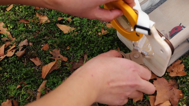 Amazon | WOODEN TEETHER 昆虫採集セット 虫取りセット 木製 キッズ