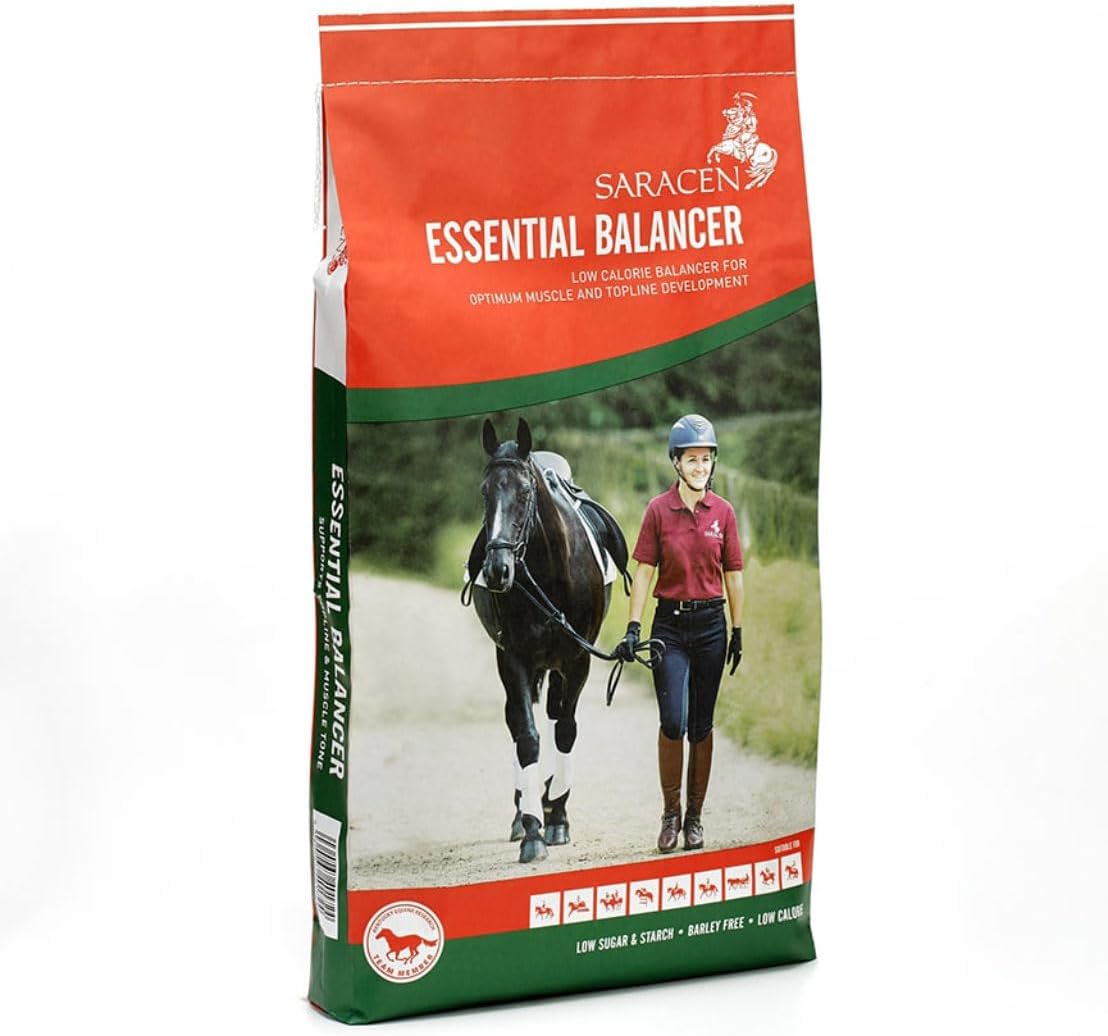 Your Horseu2019s Complete Guide To Soaked Horse Feeds