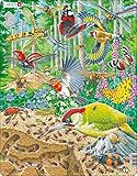 NATURALEZA- El puzzle muestra la vida salvaje que vive en entornos naturales similares