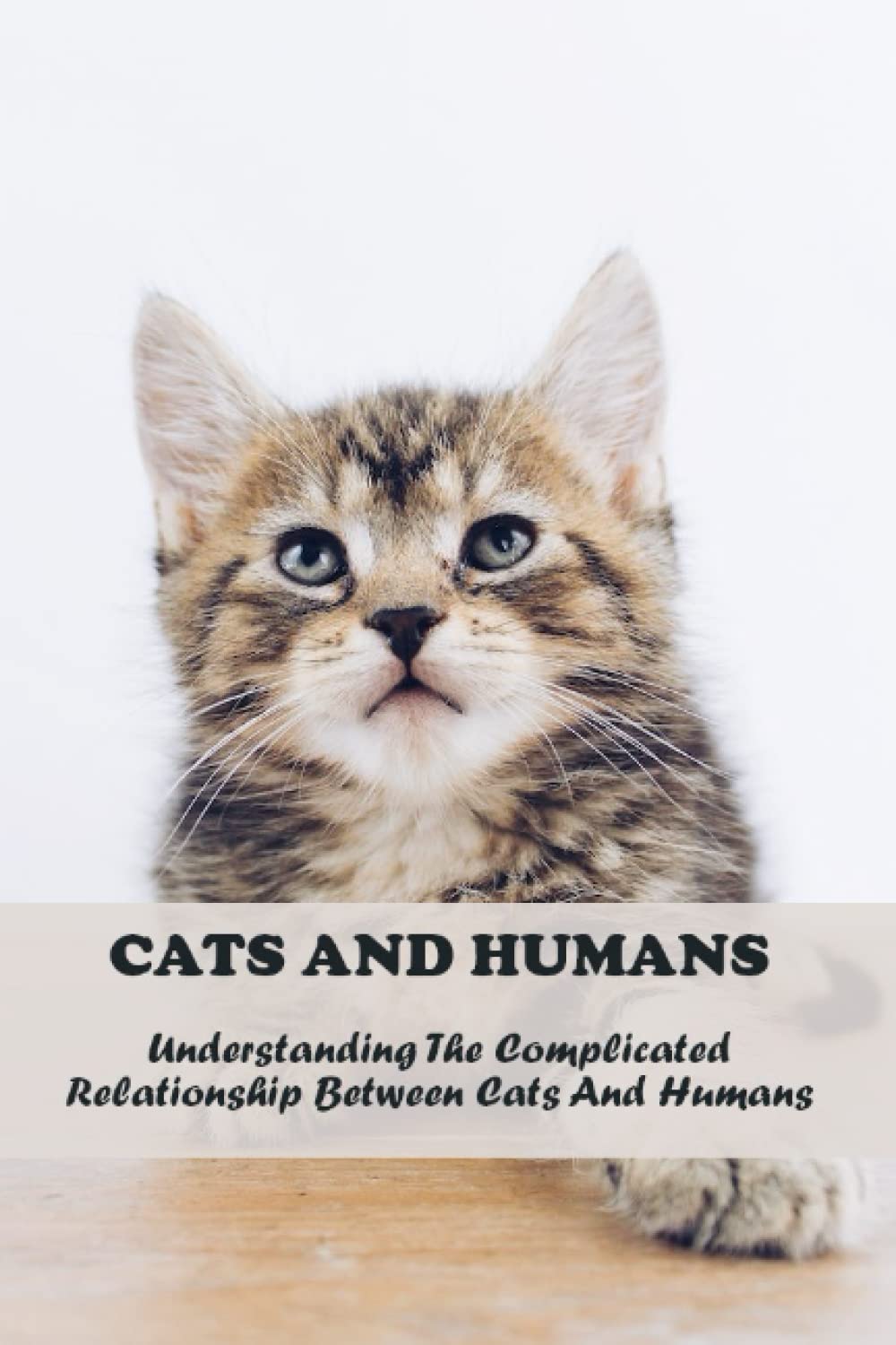 Cats And Humans: Understanding The Complicated Relationship Between Cats And Humans