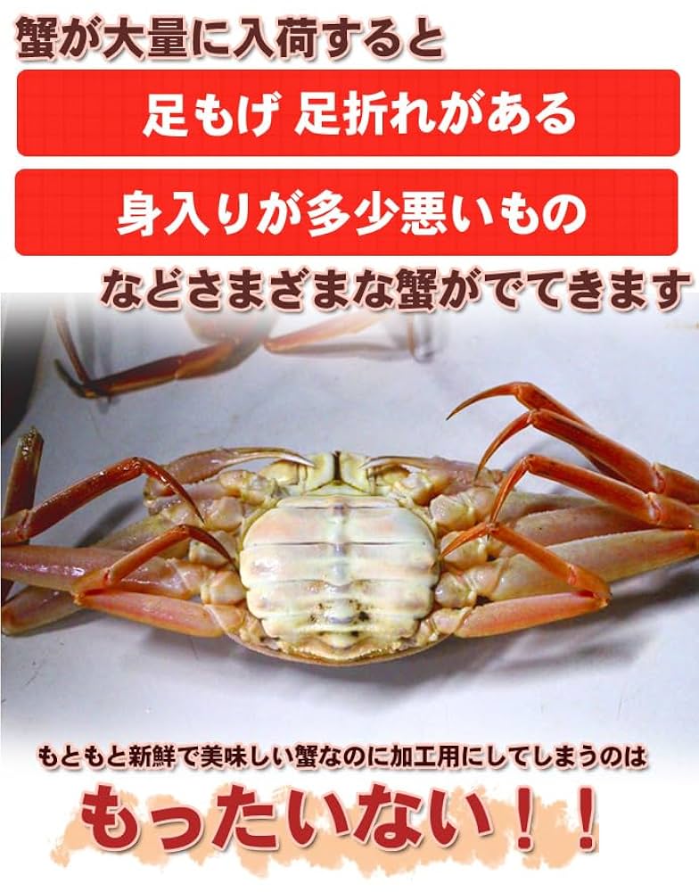 北海道産活オオズワイガニ　大サイズ　訳あり品 Amazon | オオズワイガニ メス 活 訳あり 北海道産 8kg（約25