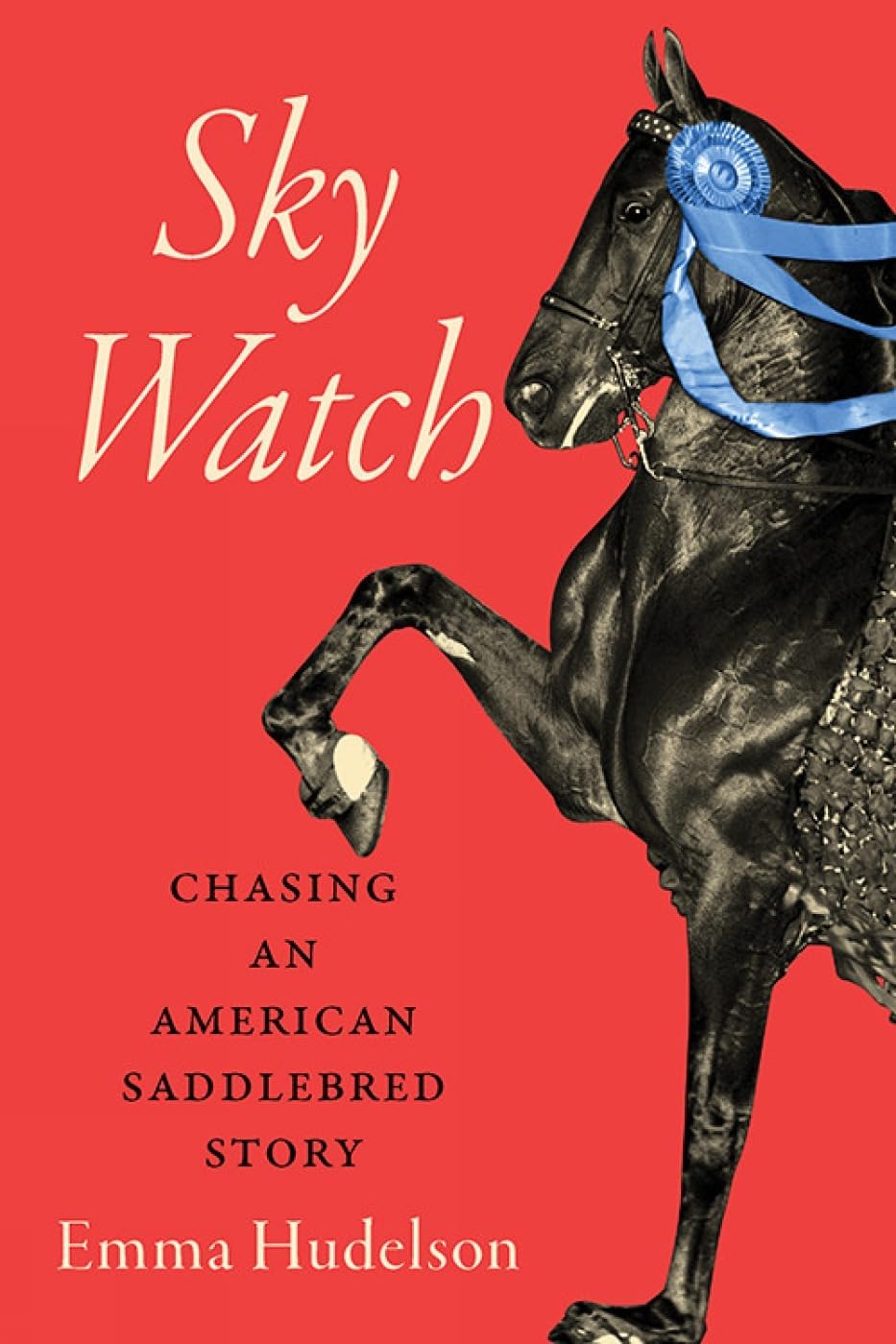 Sky Watch: Chasing an American Saddlebred Story (Horses in History)
