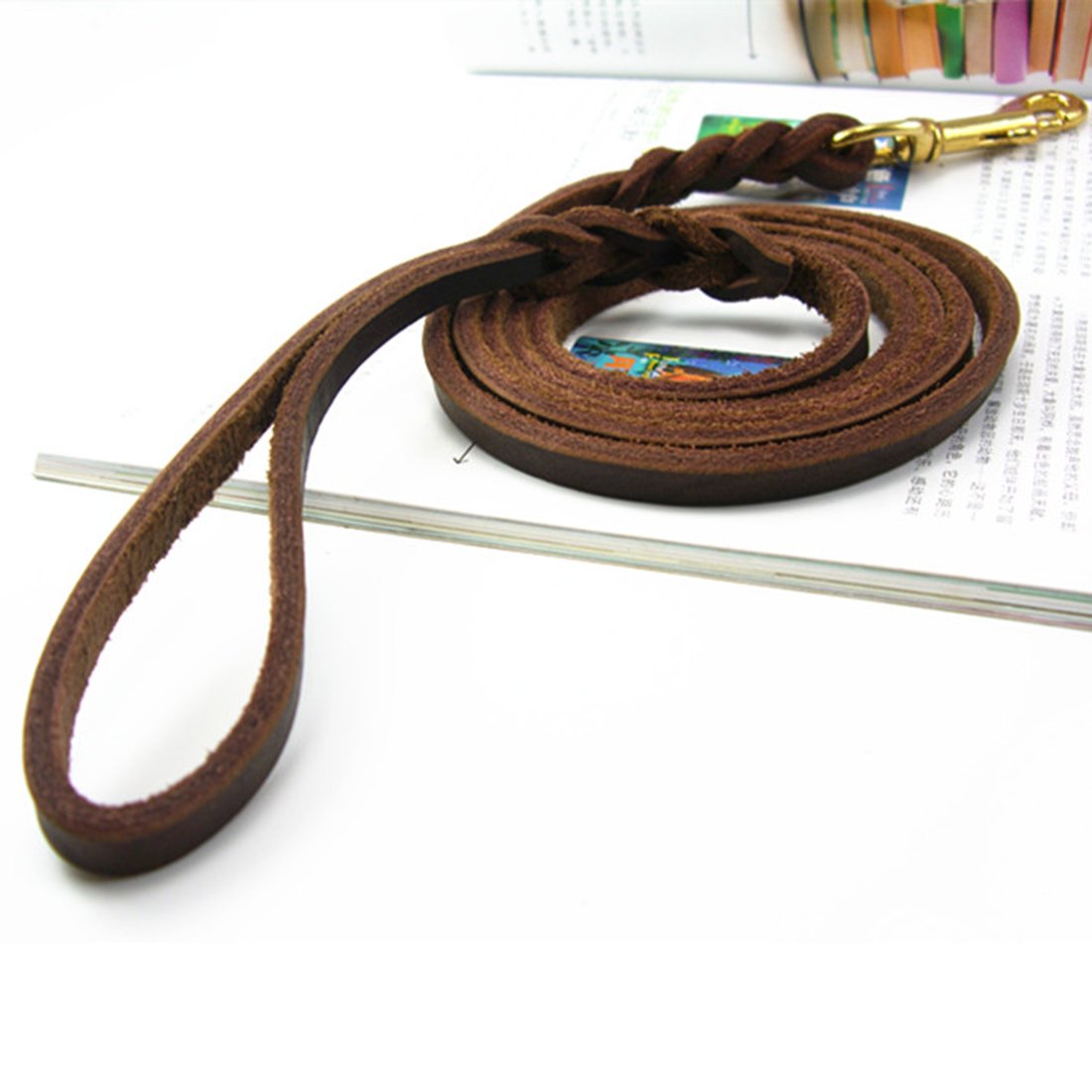 1.6M Hundeleine und Halsband Echtleder Hundführleine Haustier Schleppleine Lederleine mit Hundehalsband Halskette Martingal Dog Collar Halsbandleine für Welpen Klein Mittlere Hunde (Geflochten, XS)