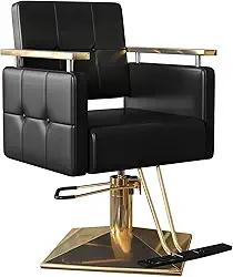 Cadeira de salão de barbeiro para cabeleireiro, mão de artista, bomba hidráulica giratória de 360°, equipamento ajustável para salão de beleza, cabeleireiro, cadeira resistente para mulheres, homens