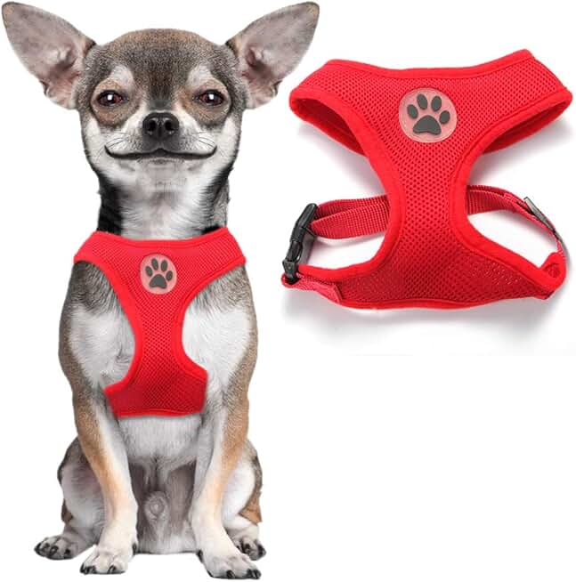 jump dog harness