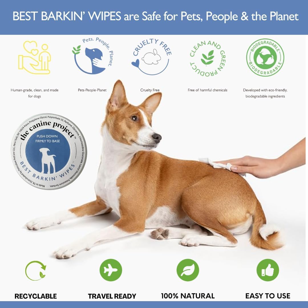 Best Barkin' Wipes Lot de 24 lingettes pour chiens pour les pattes des oreilles et les fesses - Parfumées à l'aloe vera micellaire - Pour les voyages