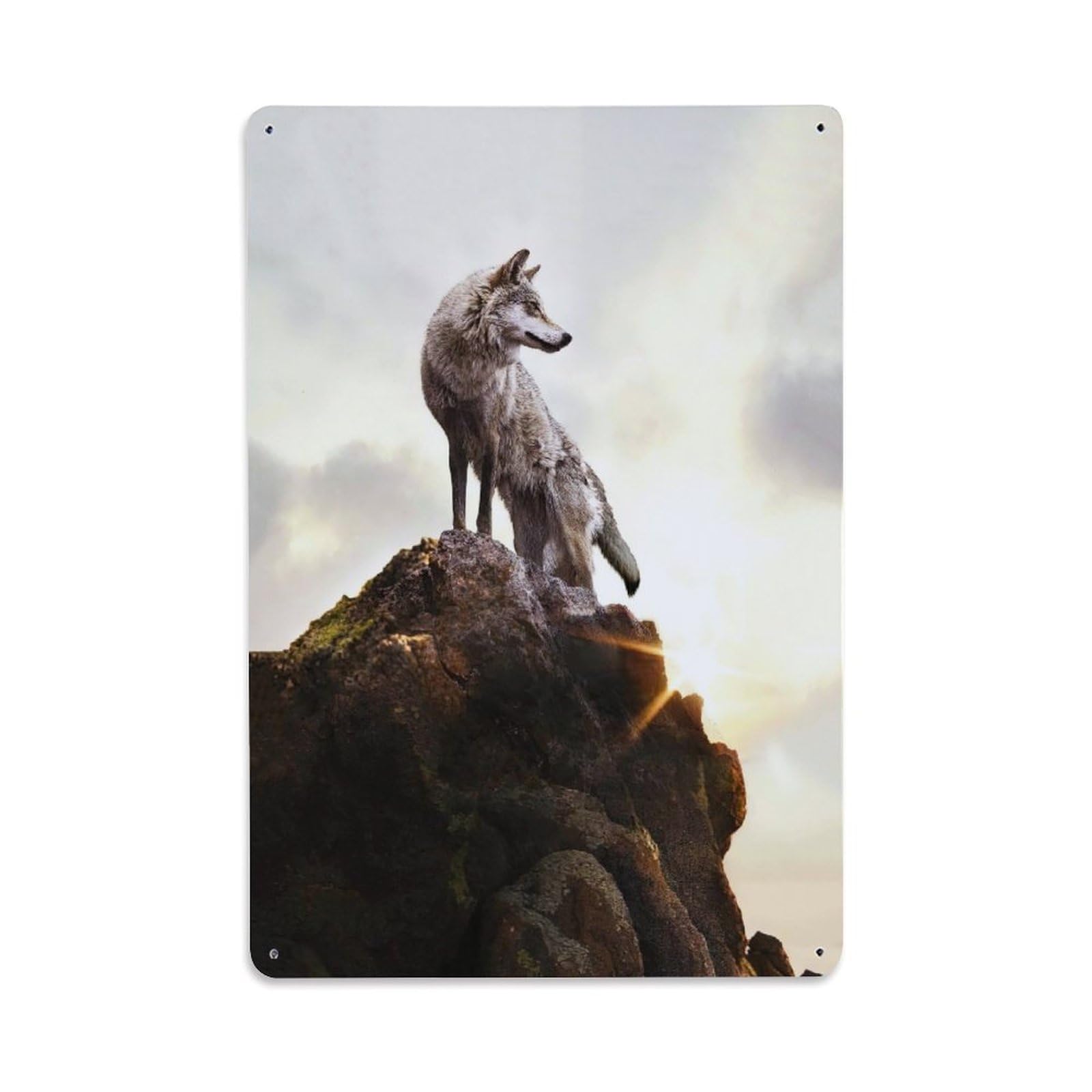 Wildlife Vintage Retro Culture Wilderness Fierce Gray Wolf Metal Tin Sign Plaque Wall Decor for Cafe, Man Cave, Club Bar, Office, Home Garden Round Metal Poster 8x12Inch